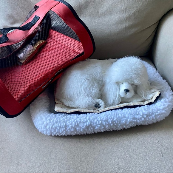 Perfect Petzz Poodle Bundle - Picture 1 of 8